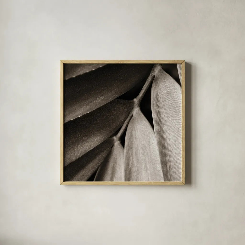 Tropical Plant II Crop by Debra Van Swearingen. Shown in a natural wood glass frame for a timeless modern aesthetic. Available as an archival giclee rolled canvas, fine art paper, or poster print. SKU 23500a.