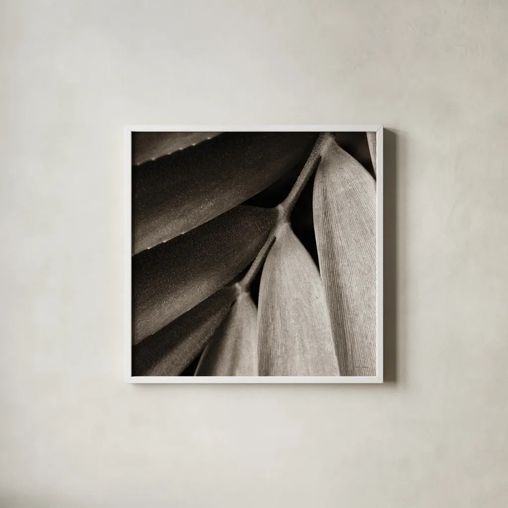 Tropical Plant II Crop by Debra Van Swearingen. Shown in a crisp white glass frame for a clean and minimalist style. Available as an archival giclee rolled canvas, fine art paper, or poster print. SKU 23500a.