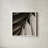 Tropical Plant II Crop by Debra Van Swearingen. Shown in a crisp white glass frame for a clean and minimalist style. Available as an archival giclee rolled canvas, fine art paper, or poster print. SKU 23500a.
