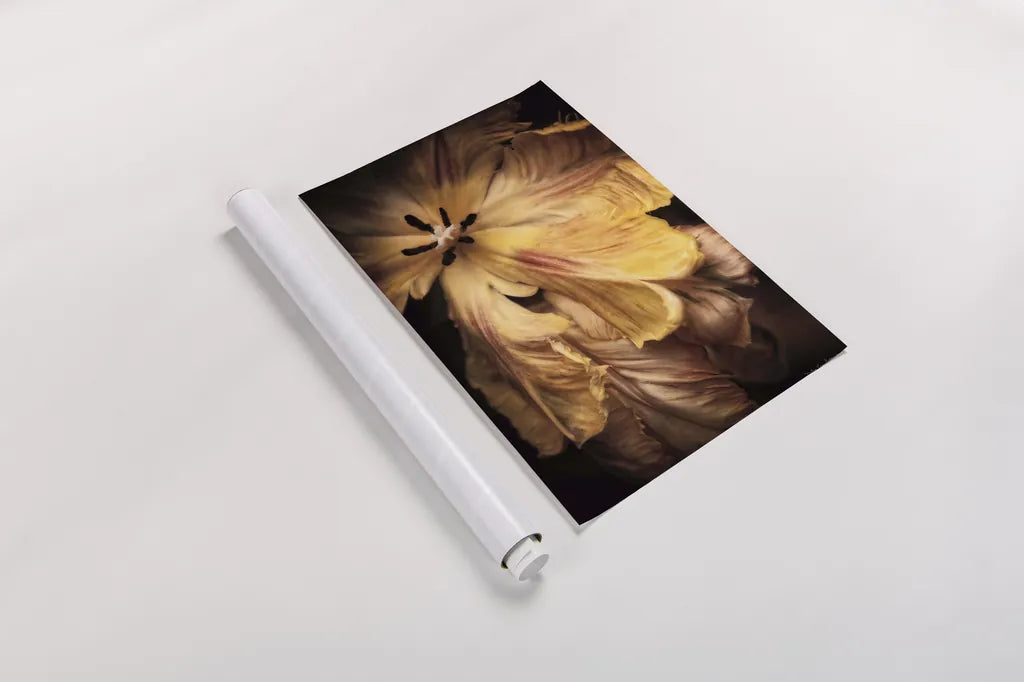 Tulip Detail I by Debra Van Swearingen. shown as a rolled paper print. Available as archival giclee rolled canvas, fine art paper, or poster print. SKU 84231h.