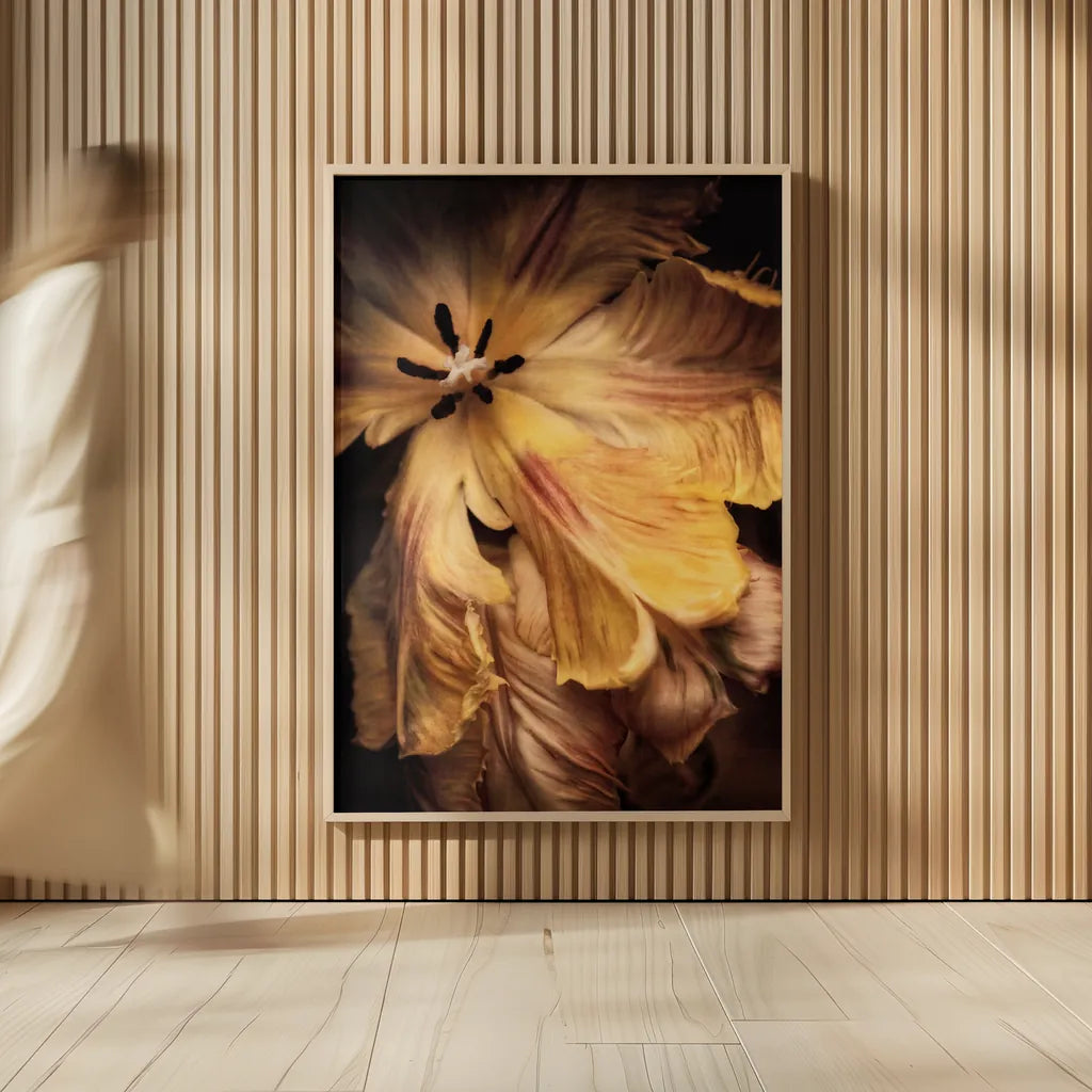 Tulip Detail I by Debra Van Swearingen. shown as over sized large wall art. Available as an archival giclee rolled canvas, fine art paper, or poster print. SKU 84231h.