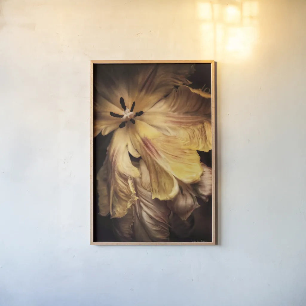 Tulip Detail I by Debra Van Swearingen. shown as a paper print in a natural frame. Available as a archival giclee rolled canvas, fine art paper, or poster print. SKU 84231h.