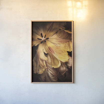 Tulip Detail I by Debra Van Swearingen. shown as a paper print in a natural frame. Available as a archival giclee rolled canvas, fine art paper, or poster print. SKU 84231h.