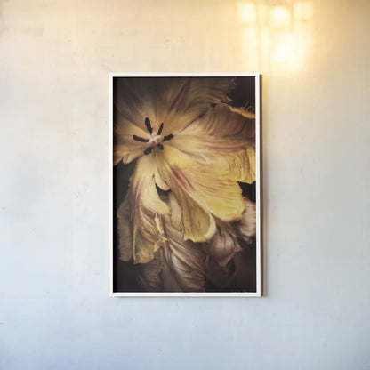 Tulip Detail I by Debra Van Swearingen. shown as a paper print in a white frame. Available as a archival giclee rolled canvas, fine art paper, or poster print. SKU 84231h.