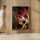 Tulip Detail II by Debra Van Swearingen. shown as over sized large wall art. Available as an archival giclee rolled canvas, fine art paper, or poster print. SKU 84232h.