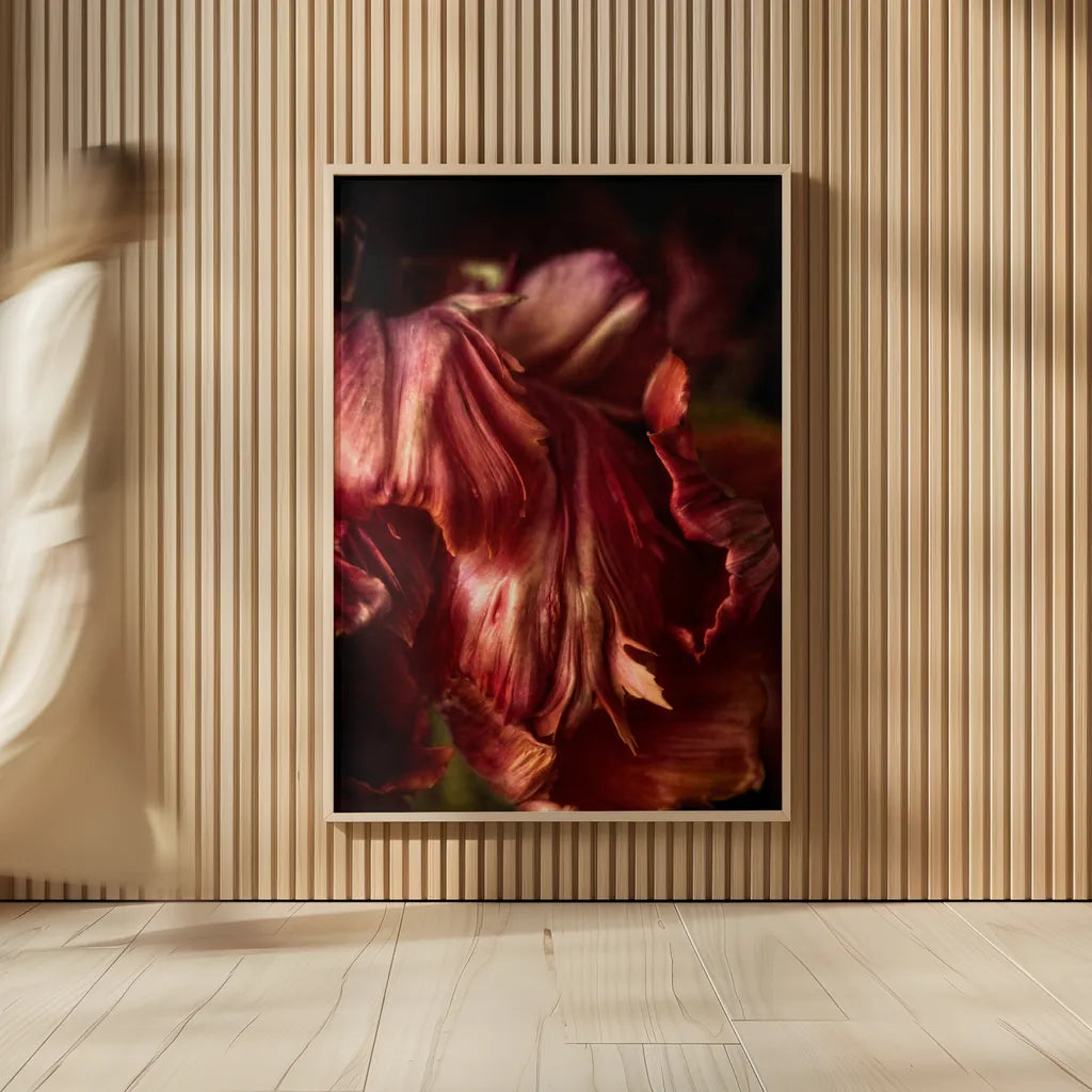 Tulip Detail III by Debra Van Swearingen. shown as over sized large wall art. Available as an archival giclee rolled canvas, fine art paper, or poster print. SKU 84233h.