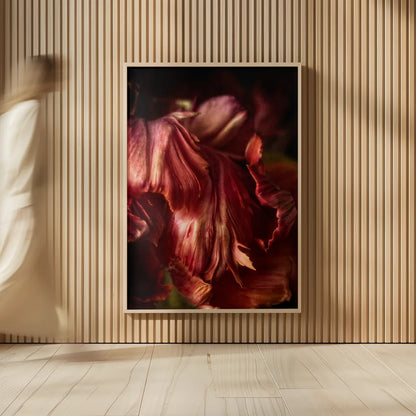 Tulip Detail III by Debra Van Swearingen. shown as over sized large wall art. Available as an archival giclee rolled canvas, fine art paper, or poster print. SKU 84233h.