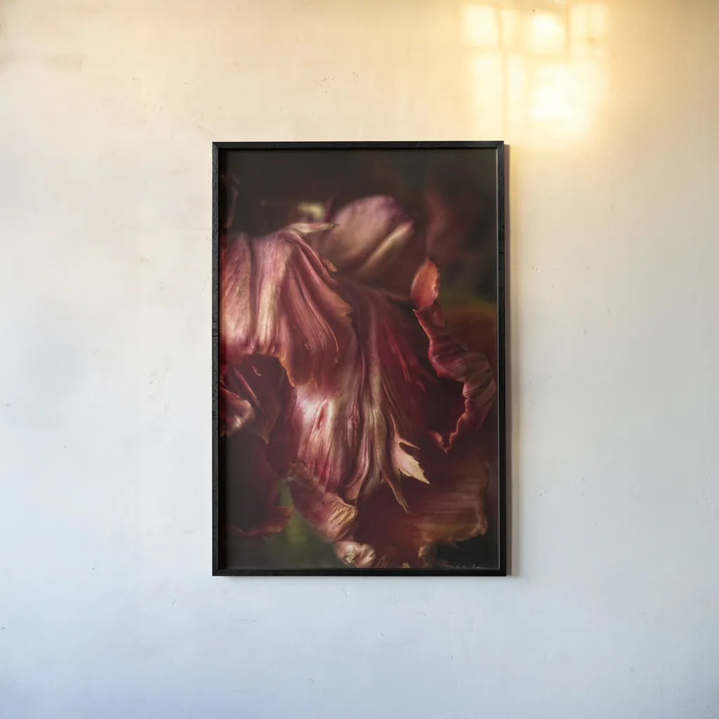 Tulip Detail III by Debra Van Swearingen. shown as a paper print in a black flame. Available as a archival giclee rolled canvas, fine art paper, or poster print. SKU 84233h.