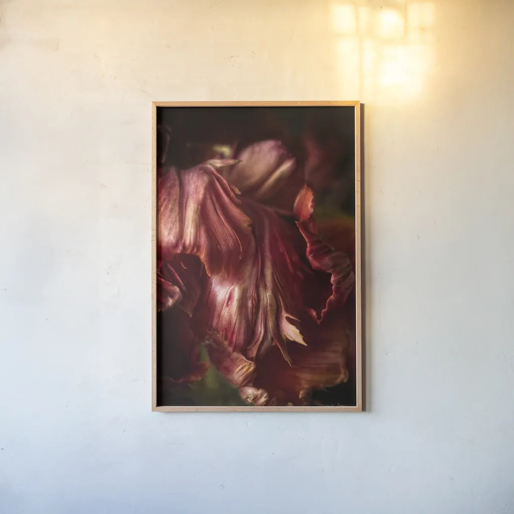 Tulip Detail III by Debra Van Swearingen. shown as a paper print in a natural frame. Available as a archival giclee rolled canvas, fine art paper, or poster print. SKU 84233h.