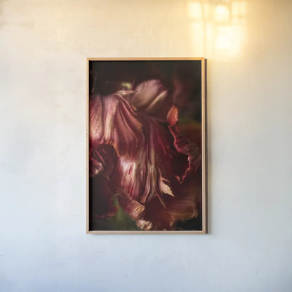 Tulip Detail III by Debra Van Swearingen. shown as a paper print in a natural frame. Available as a archival giclee rolled canvas, fine art paper, or poster print. SKU 84233h.