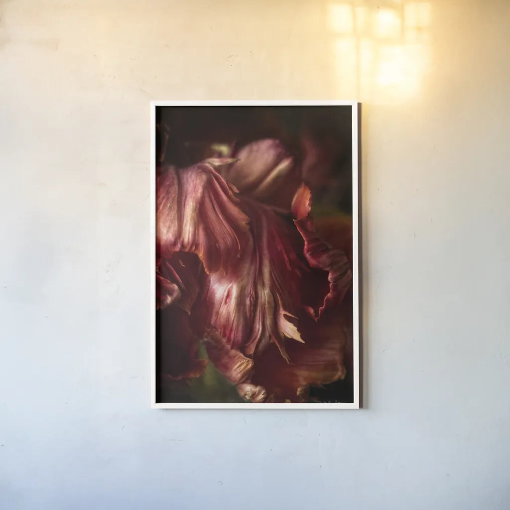 Tulip Detail III by Debra Van Swearingen. shown as a paper print in a white frame. Available as a archival giclee rolled canvas, fine art paper, or poster print. SKU 84233h.