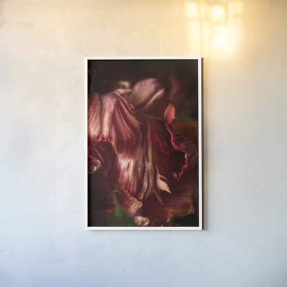 Tulip Detail III by Debra Van Swearingen. shown as a paper print in a white frame. Available as a archival giclee rolled canvas, fine art paper, or poster print. SKU 84233h.