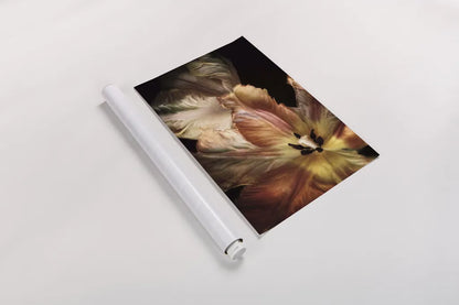 Tulip Detail IV by Debra Van Swearingen. shown as a rolled paper print. Available as archival giclee rolled canvas, fine art paper, or poster print. SKU 84234h.