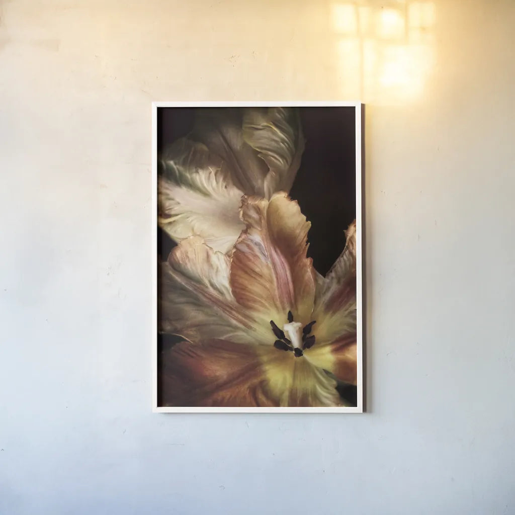 Tulip Detail IV by Debra Van Swearingen. shown as a paper print in a white frame. Available as a archival giclee rolled canvas, fine art paper, or poster print. SKU 84234h.