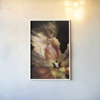 Tulip Detail IV by Debra Van Swearingen. shown as a paper print in a white frame. Available as a archival giclee rolled canvas, fine art paper, or poster print. SKU 84234h.