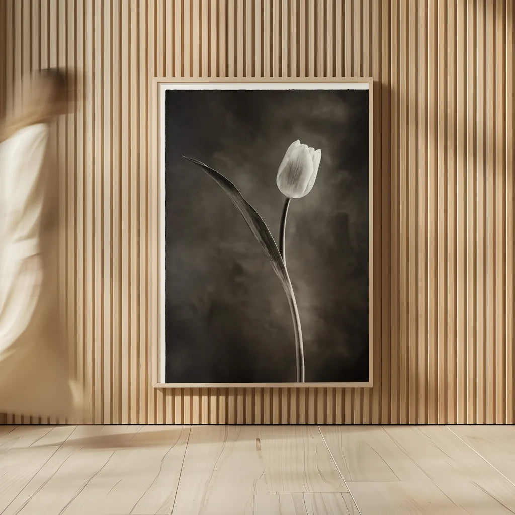 Two Tone Tulips II by Debra Van Swearingen. shown as over sized large wall art. Available as an archival giclee rolled canvas, fine art paper, or poster print. SKU 19434h.