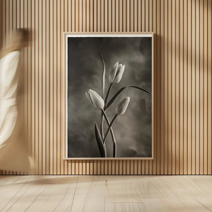 Two Tone Tulips VII by Debra Van Swearingen. shown as over sized large wall art. Available as an archival giclee rolled canvas, fine art paper, or poster print. SKU 19439h.