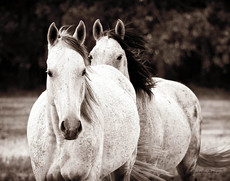 Two Wild Horse Sepia by Debra Van Swearingen