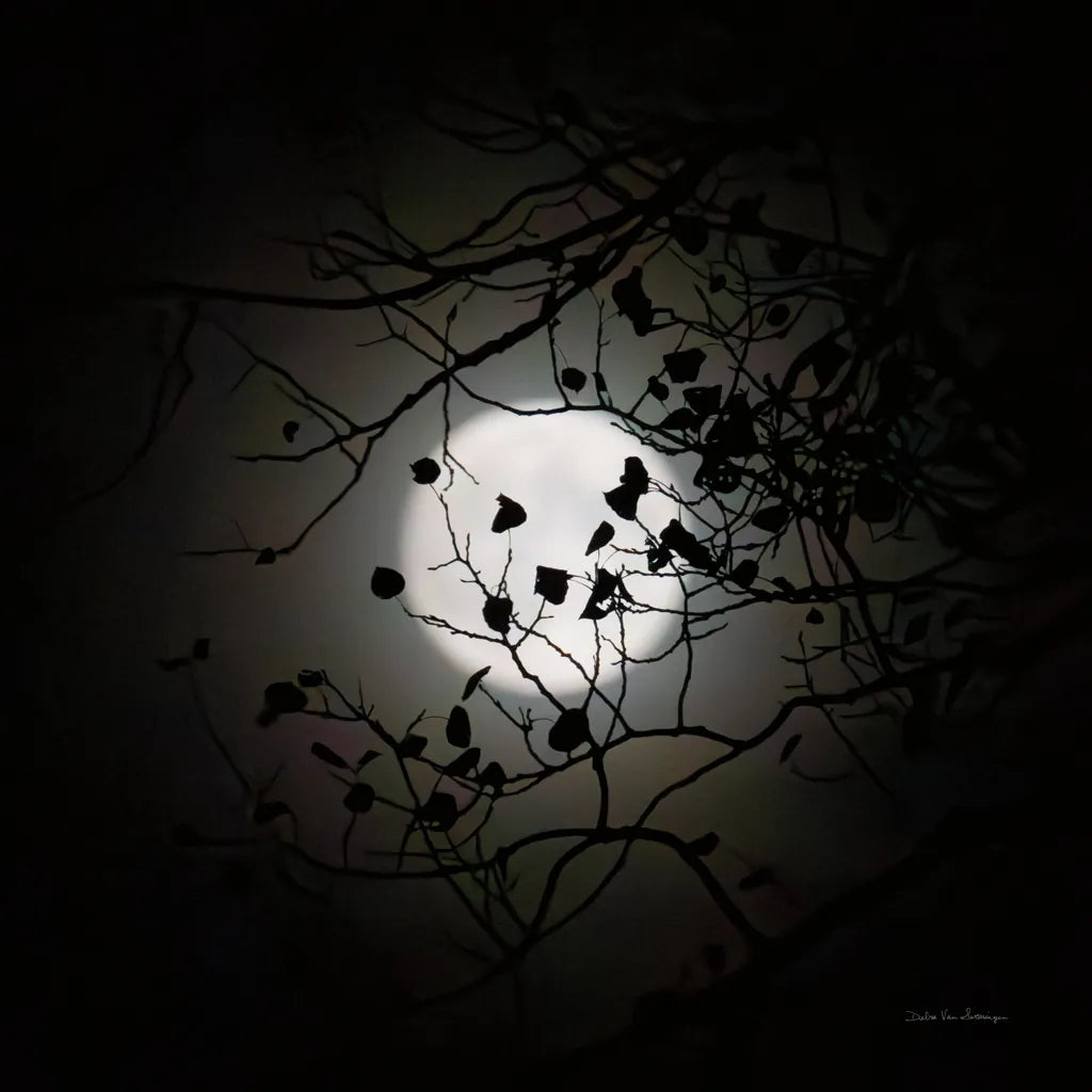 Vermont Blue Moon by Debra Van Swearingen. SKU 90962a. Archival Giclee Fine art print for wall decor.