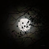 Vermont Blue Moon by Debra Van Swearingen. SKU 90962a. Archival Giclee Fine art print for wall decor.
