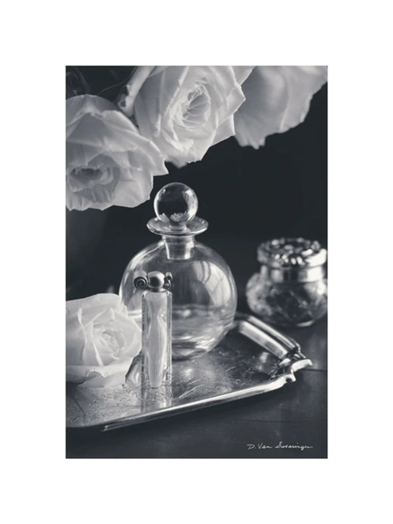Vintage Vanity III With Border by Debra Van Swearingen