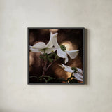White Dogwood I by Debra Van Swearingen. Shown in a sleek black glass frame for a contemporary gallery look. Available as an archival giclee rolled canvas, fine art paper, or poster print. SKU 63810a.