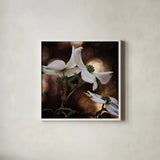 White Dogwood I by Debra Van Swearingen. Shown in a crisp white glass frame for a clean and minimalist style. Available as an archival giclee rolled canvas, fine art paper, or poster print. SKU 63810a.