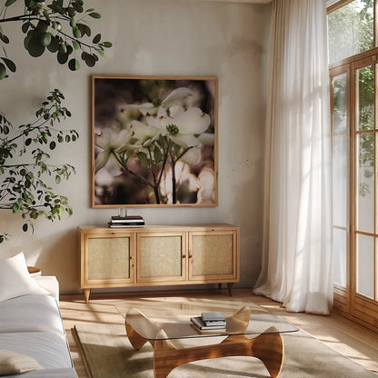 White Dogwood II by Debra Van Swearingen. Shown in a natural wood frame in a cozy modern living room. Available as an archival giclee rolled canvas, fine art paper, or poster print. SKU 63811a.