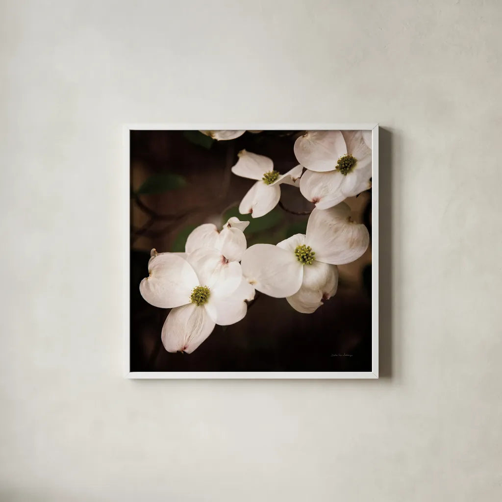 White Dogwood III by Debra Van Swearingen. Shown in a crisp white glass frame for a clean and minimalist style. Available as an archival giclee rolled canvas, fine art paper, or poster print. SKU 63812a.