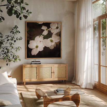 White Dogwood III by Debra Van Swearingen. Shown in a natural wood frame in a cozy modern living room. Available as an archival giclee rolled canvas, fine art paper, or poster print. SKU 63812a.