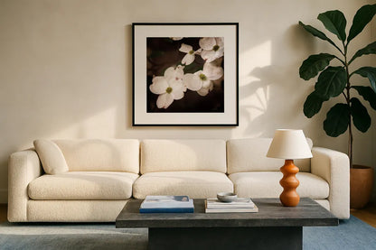 White Dogwood III by Debra Van Swearingen. Displayed in a glass frame with matte in a clean modern living room. Available as an archival giclee rolled canvas, fine art paper, or poster print. SKU 63812a.