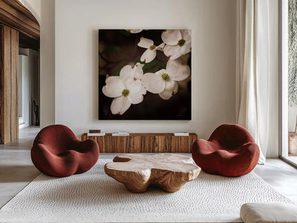 White Dogwood III by Debra Van Swearingen. Shown as extra-large giant wall art in a modern living room. Available as an archival giclee rolled canvas, fine art paper, or poster print. SKU 63812a.