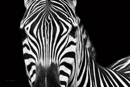 Zebra II Crop by Debra Van Swearingen. SKU 16455i. Archival Giclee Fine art print for wall decor.
