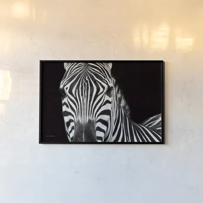 Zebra II Crop by Debra Van Swearingen. shown as a paper print in a black flame. Available as a archival giclee rolled canvas, fine art paper, or poster print. SKU 16455i.