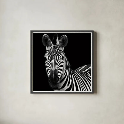 Zebra II Square by Debra Van Swearingen. Shown in a sleek black glass frame for a contemporary gallery look. Available as an archival giclee rolled canvas, fine art paper, or poster print. SKU 16455a.