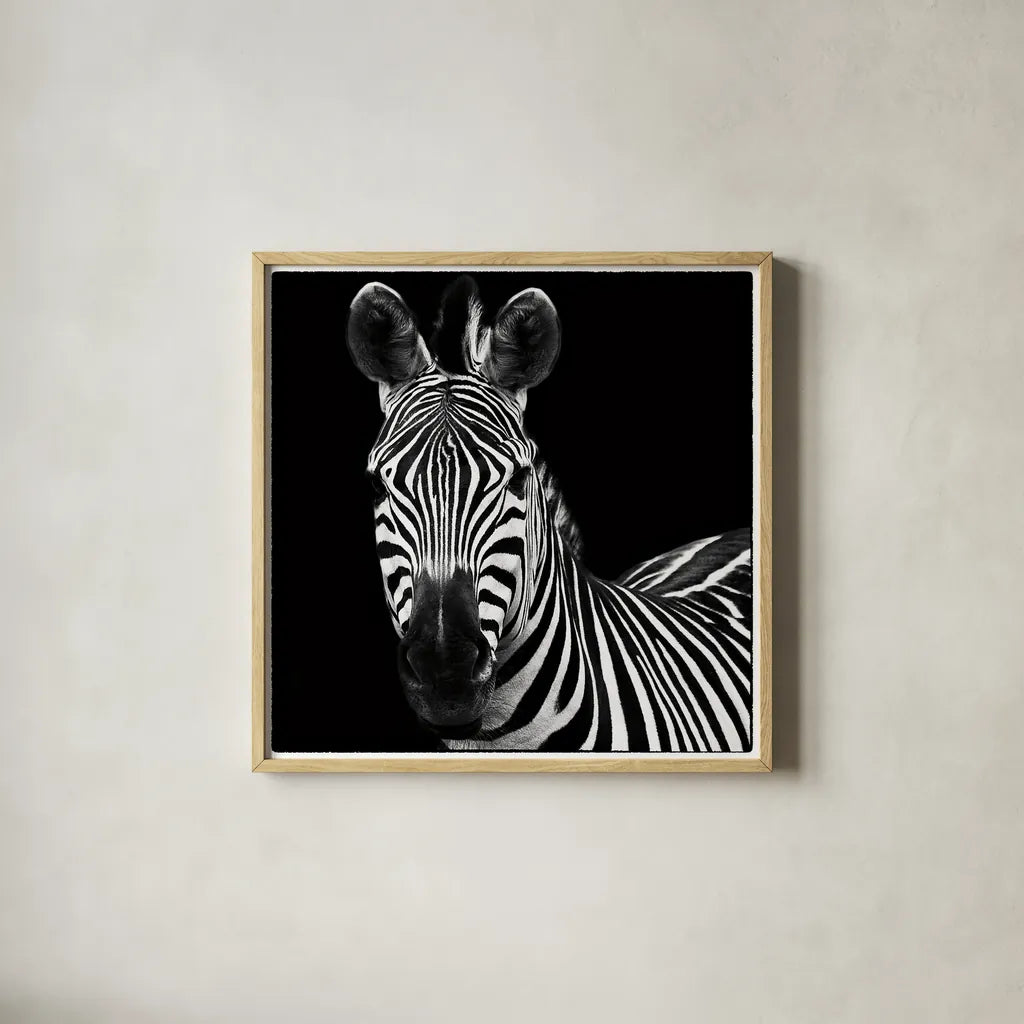 Zebra II Square by Debra Van Swearingen. Shown in a natural wood glass frame for a timeless modern aesthetic. Available as an archival giclee rolled canvas, fine art paper, or poster print. SKU 16455a.