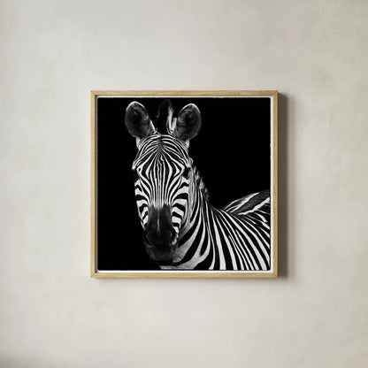 Zebra II Square by Debra Van Swearingen. Shown in a natural wood glass frame for a timeless modern aesthetic. Available as an archival giclee rolled canvas, fine art paper, or poster print. SKU 16455a.