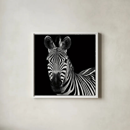Zebra II Square by Debra Van Swearingen. Shown in a crisp white glass frame for a clean and minimalist style. Available as an archival giclee rolled canvas, fine art paper, or poster print. SKU 16455a.