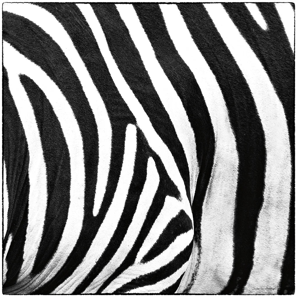 Zebra IV by Debra Van Swearingen. SKU 48736a. Archival Giclee Fine art print for wall decor.