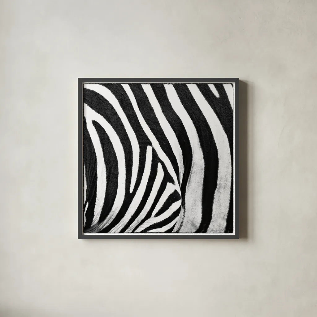 Zebra IV by Debra Van Swearingen. Shown in a sleek black glass frame for a contemporary gallery look. Available as an archival giclee rolled canvas, fine art paper, or poster print. SKU 48736a.