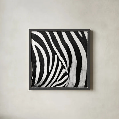 Zebra IV by Debra Van Swearingen. Shown in a sleek black glass frame for a contemporary gallery look. Available as an archival giclee rolled canvas, fine art paper, or poster print. SKU 48736a.