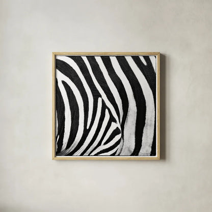 Zebra IV by Debra Van Swearingen. Shown in a natural wood glass frame for a timeless modern aesthetic. Available as an archival giclee rolled canvas, fine art paper, or poster print. SKU 48736a.
