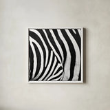 Zebra IV by Debra Van Swearingen. Shown in a crisp white glass frame for a clean and minimalist style. Available as an archival giclee rolled canvas, fine art paper, or poster print. SKU 48736a.