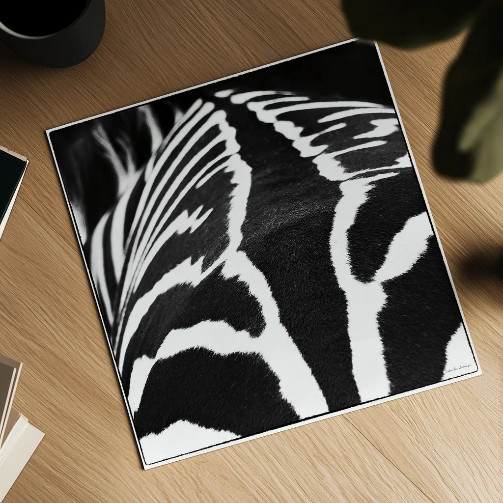 Zebra V by Debra Van Swearingen. Shown as a detailed flat fine art print, highlighting archival giclee quality. Available as an archival giclee rolled canvas, fine art paper, or poster print. SKU 48737a.