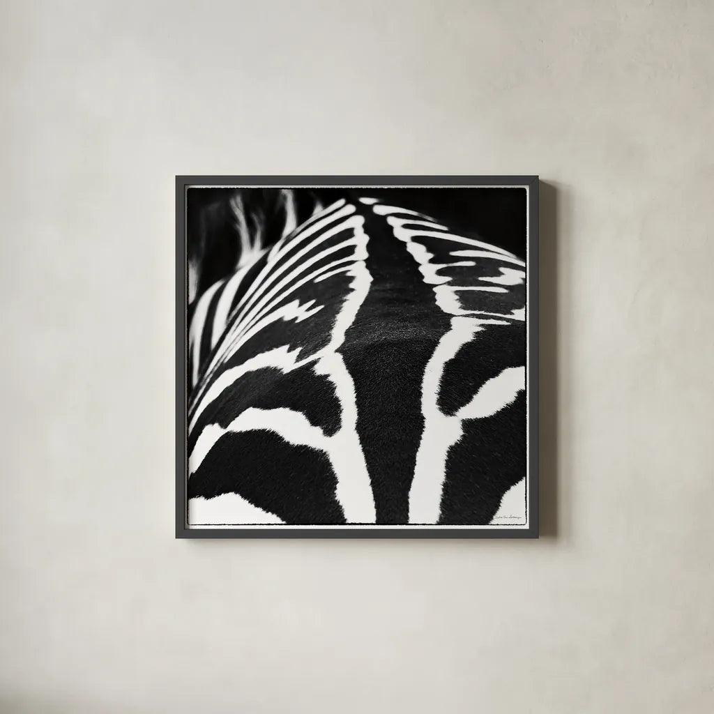 Zebra V by Debra Van Swearingen. Shown in a sleek black glass frame for a contemporary gallery look. Available as an archival giclee rolled canvas, fine art paper, or poster print. SKU 48737a.