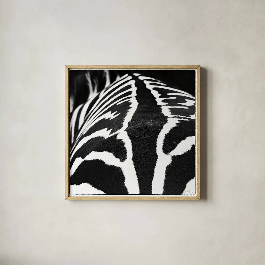Zebra V by Debra Van Swearingen. Shown in a natural wood glass frame for a timeless modern aesthetic. Available as an archival giclee rolled canvas, fine art paper, or poster print. SKU 48737a.