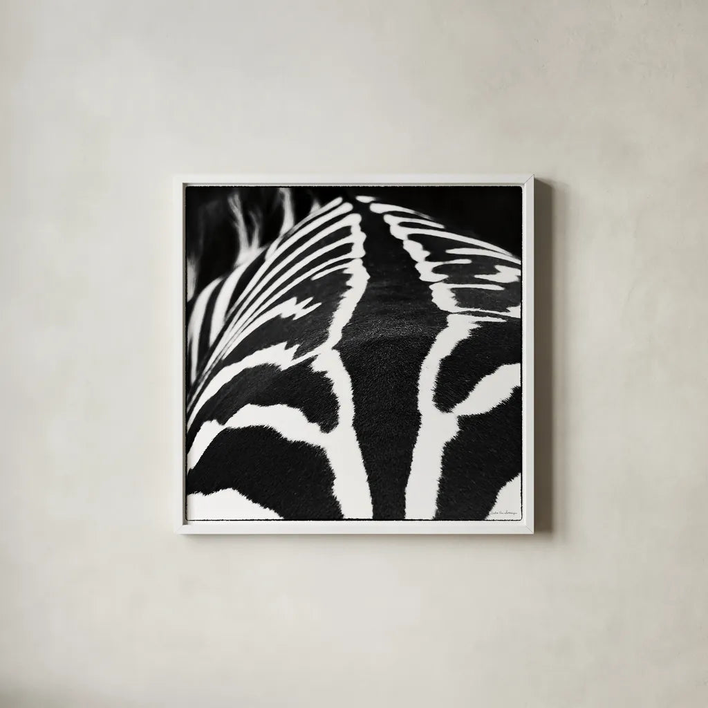 Zebra V by Debra Van Swearingen. Shown in a crisp white glass frame for a clean and minimalist style. Available as an archival giclee rolled canvas, fine art paper, or poster print. SKU 48737a.