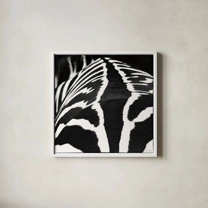Zebra V by Debra Van Swearingen. Shown in a crisp white glass frame for a clean and minimalist style. Available as an archival giclee rolled canvas, fine art paper, or poster print. SKU 48737a.