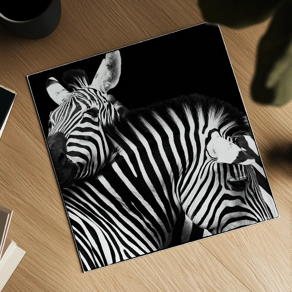 Zebra VI by Debra Van Swearingen. Shown as a detailed flat fine art print, highlighting archival giclee quality. Available as an archival giclee rolled canvas, fine art paper, or poster print. SKU 19454a.