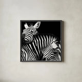 Zebra VI by Debra Van Swearingen. Shown in a sleek black glass frame for a contemporary gallery look. Available as an archival giclee rolled canvas, fine art paper, or poster print. SKU 19454a.